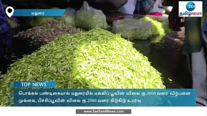 Jasmine flower rates rise as Pongal festival nears