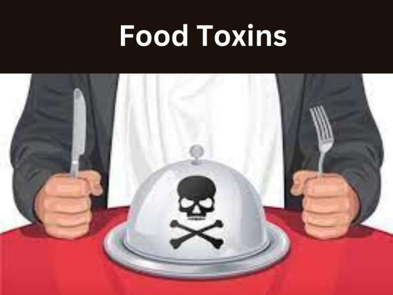 Food Toxins: உணவே நச்சாக மாறினால்? ஆரோக்கியமான பொருளாக இருந்தாலும் கவனம் தேவை...