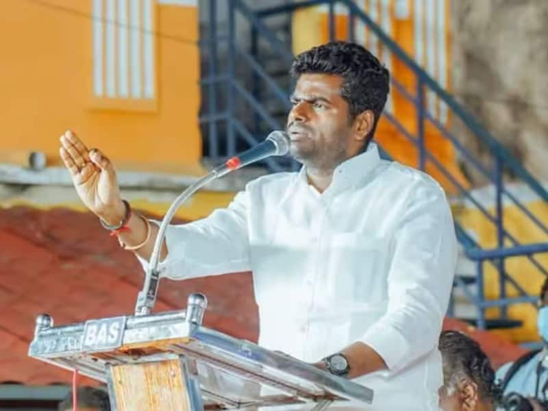 &#039;பகல் கனவு பலிக்காது...&#039; அண்ணாமலைக்கு தமிழ்நாடு அரசு சராமாரி பதிலடி - முழு பின்னணி என்ன?