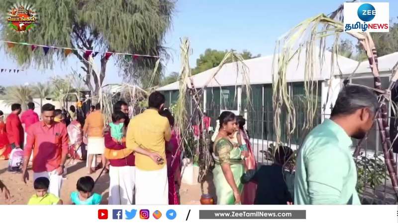 ஐக்கிய அரபு அமீரகத்தில் களைகட்டிய பொங்கல் விழா Pongal Celebrations at United Arab Emirates