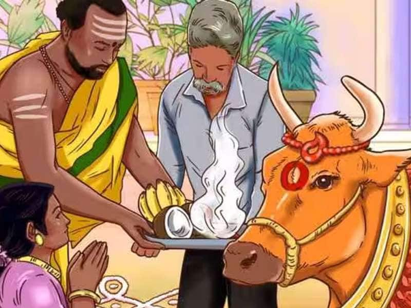 தமிழரின் தனிச் சிறப்பான மாட்டுப் பொங்கல் ஏன் கொண்டாடுகிறோம்? இவ்ளோ காரணம் இருக்கா