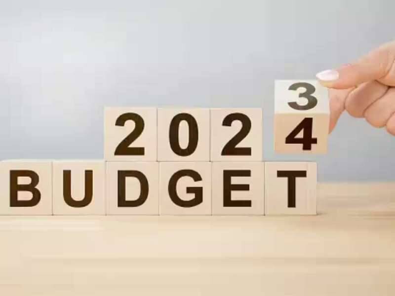 Budget 2024: இந்த மானியங்கள் கண்டிப்பாக உயரும்... அடித்துக்கூறும் நிபுணர்கள் title=