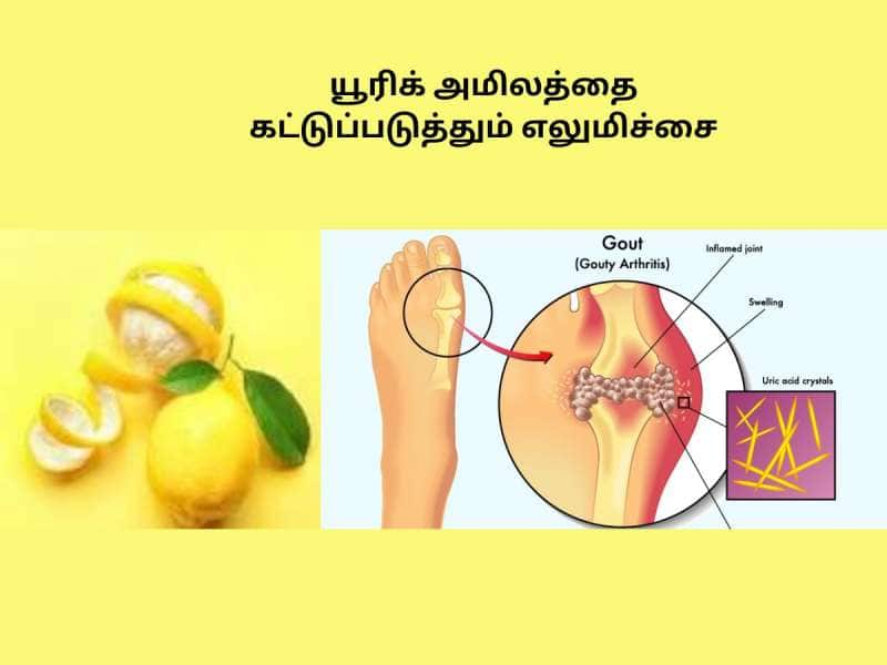 மருந்தே உணவாகாமல் இருக்க, உணவையே மருந்தாக மாற்றினால்? 100 ஆண்டு ஆரோக்கியம் கேரண்டி!