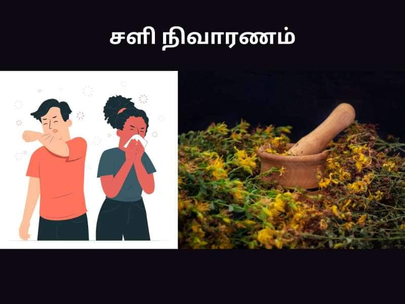 Mucus: சளியா இருமலா? கவலை வேண்டாம், இந்த பொருட்கள் இருக்கும்போது சளிக்கு சலிக்கலாமா?