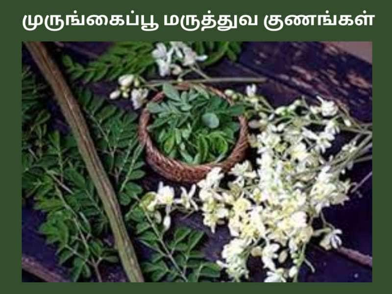 ஆண்மையை அட்டகாசமாய் பூஸ்ட் செய்ய இந்தக் காயில் அப்படி என்ன தான் இருக்கு?