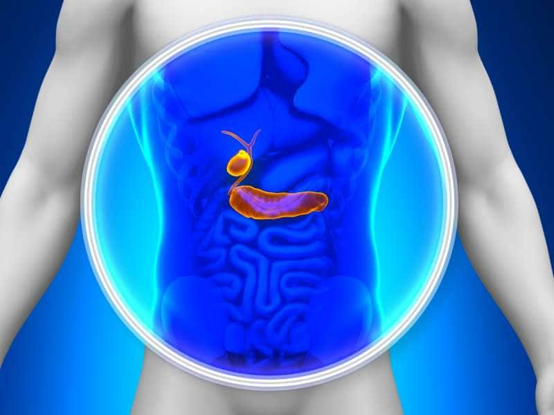 Pancreas Health: கணைய ஆரோக்கியத்தை காக்கும் சில அற்புத உணவுகள்! title=