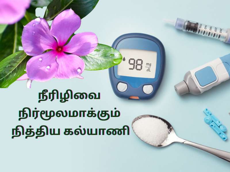 Diabetes Control: இன்சுலினை  சுரக்க செய்து... நீரிழிவை நிர்மூலமாக்கும் நித்திய கல்யாணி!