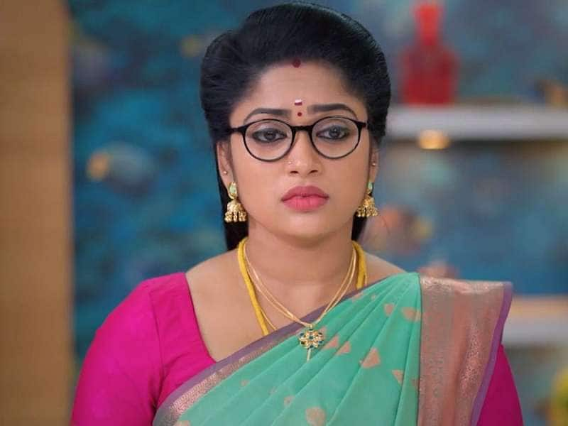 சீதா ராமன் அப்டேட்: நான்ஸி வைக்கும் செக்மேட்.. மீண்டும் ஜெயிலுக்கு போவாளா சீதா?  title=