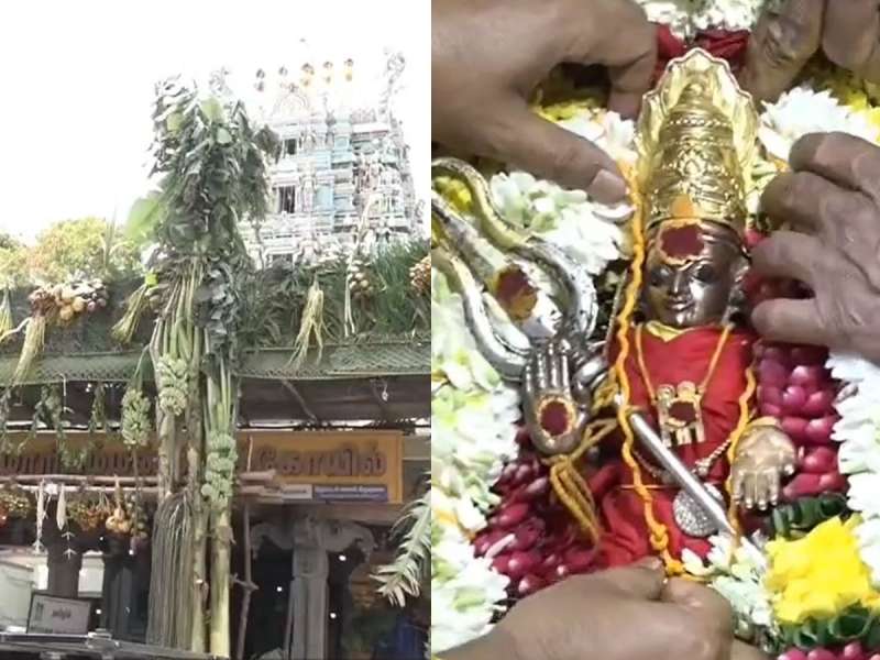 பழனி மாரியம்மன் கோயில் மாசி திருவிழா திருக்கல்யாணம், மாசித்தேரோட்டம்