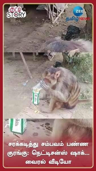 monkey drinks alcohol does this netizens in shock funny animal viral video google trends