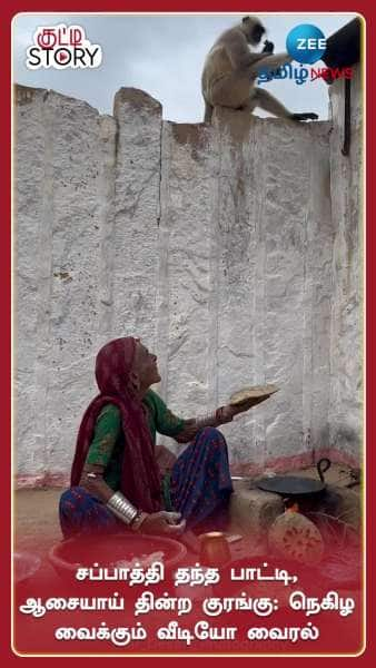 Woman feeds roti to Monkey Emotional Viral Video Google Trends