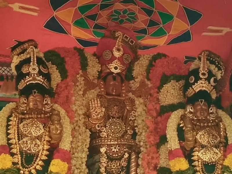 விஜயராகவ பெருமாள் திருக்கோவிலில் மாசி மாத பிரம்மோற்சவம்