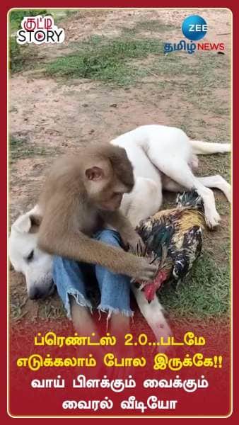 Monkey Dog Friendship Melts Netizens Hearts Viral Video Google Trends