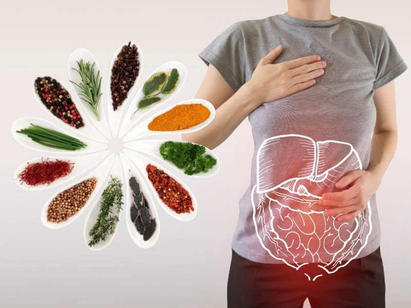 Gut health: வயிற்றுப் பிரச்சனைகளுக்கு முடிவு கட்டும்... பவர்ஃபுல் மூலிகைகள்! title=