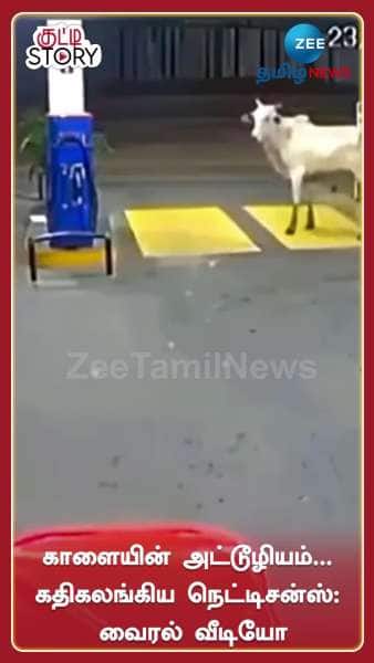 Bull Attack Viral Video Netizens Shocked