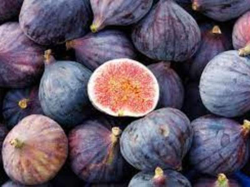 Fig Fruit : இரத்தசோகை முதல் ஆண்மைக் குறைவு வரை மோசமான நோய்களையும் சீராக்கும் அத்திப்பழம்!