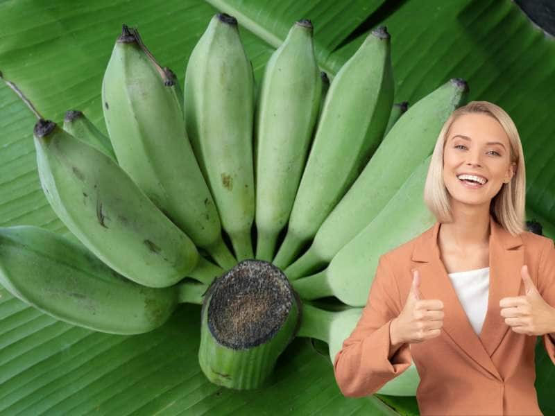 Raw Banana: நீரிழிவு முதல் உடல் பருமன் வரை... வியக்க வைக்கும் வாழைக்காய்..! title=