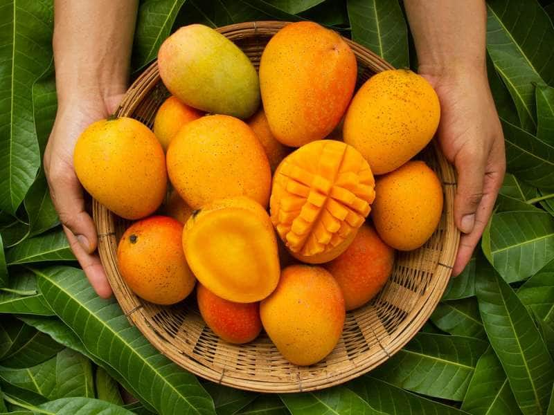 Mango Price: சந்தைக்கு வந்துள்ள இந்த 'புதிய' மாம்பழம் கிலோ ரூ.400க்கு விற்பனை!! title=