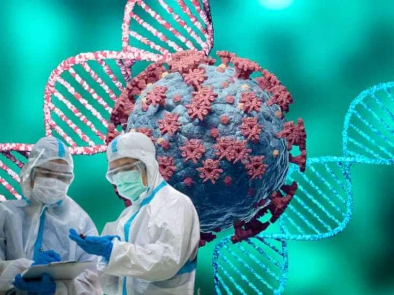 H5N1 Virus : கொரோனாவை விட கொடிய நோய் பரவ வாய்ப்பு! பகீர் கிளப்பும் மருத்துவர்கள்.. title=