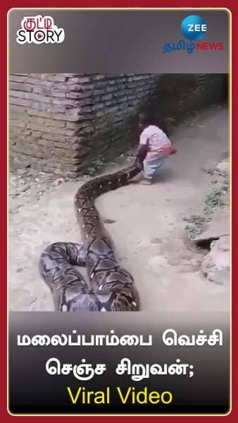 Kid playing with Python stuns Netizens see in Viral Video