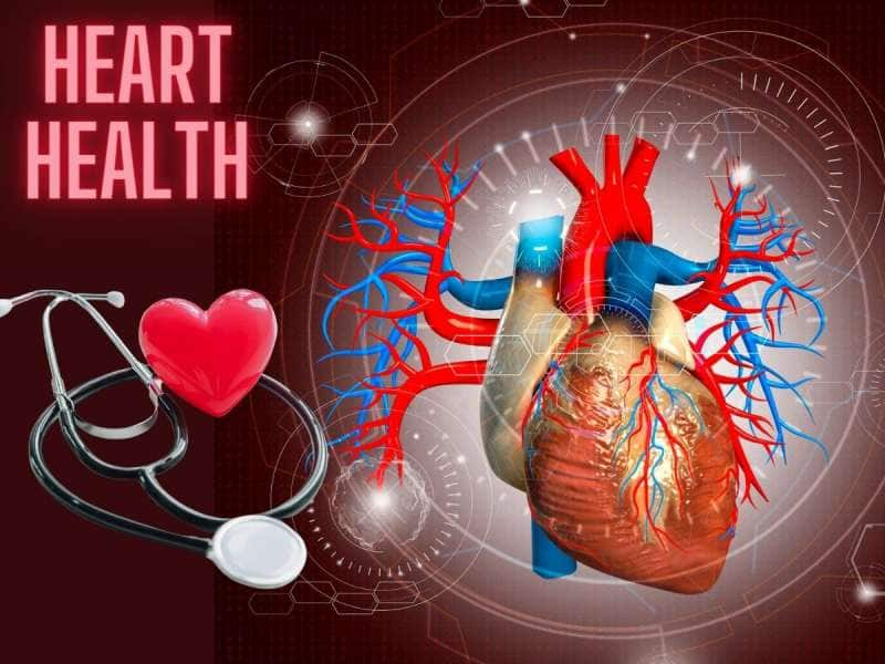 Preventing Heart Attack: மாரடைப்பு ஏற்படாமல் இருக்க... நீங்கள் செய்ய வேண்டியவை..! title=