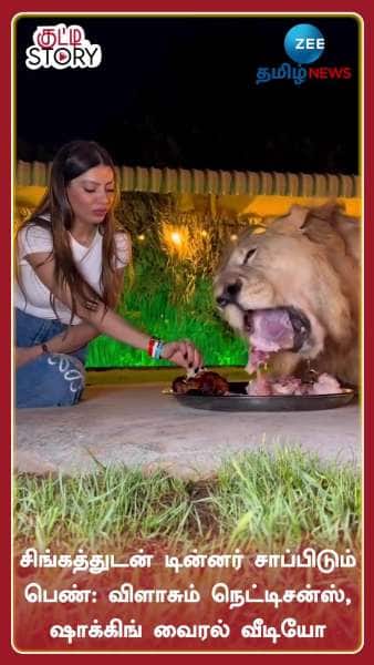 girl eats dinner with lion netizens shocked viral video google trends