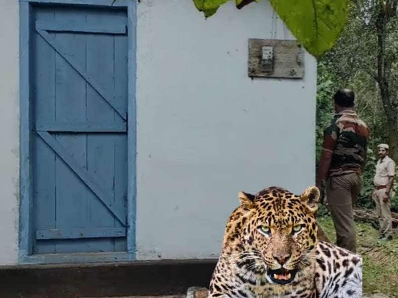 வீட்டில் பதுங்கியிருந்த சிறுத்தை! உறுமல் சத்தம் கேட்டு உயிர் தப்பிய தொழிலாளி..