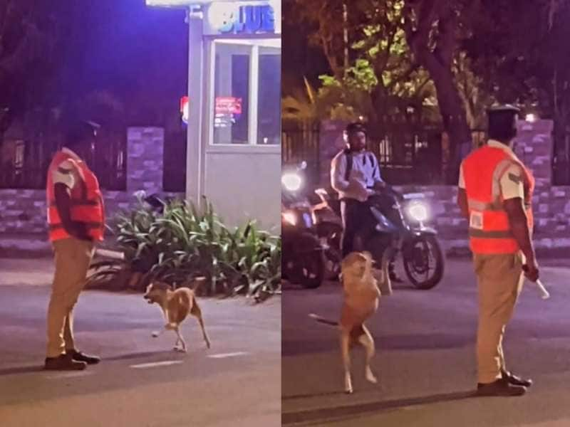 நடுரோட்டில் போலீசை வம்பிழுக்கும் நாய்! இணையத்தில் வைரலாகும் வீடியோ!