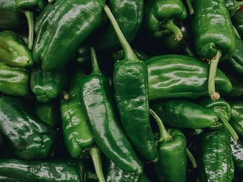 Green Chilli Benefits: தினமும் பச்சை மிளகாய் சாப்பிடுவீங்களா? இந்த மாற்றம்லாம் உங்க உடம்புல நடக்கும்