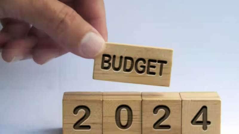 Budget 2024: இந்த துறைகளில் முக்கிய கவனம் இருக்கும், அதிக அறிவிப்புகளை எதிர்பார்க்கலாம்