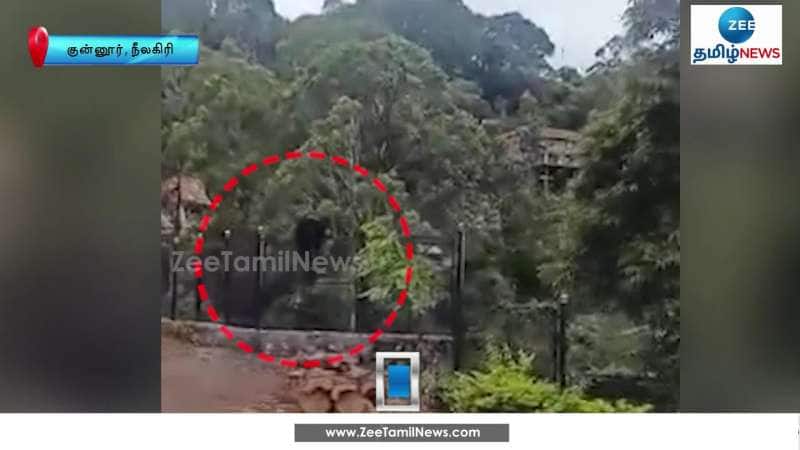 மனிதர்களைப் போல் தாண்டி வரும் கரடிகளால் பொதுமக்கள் அச்சம்   