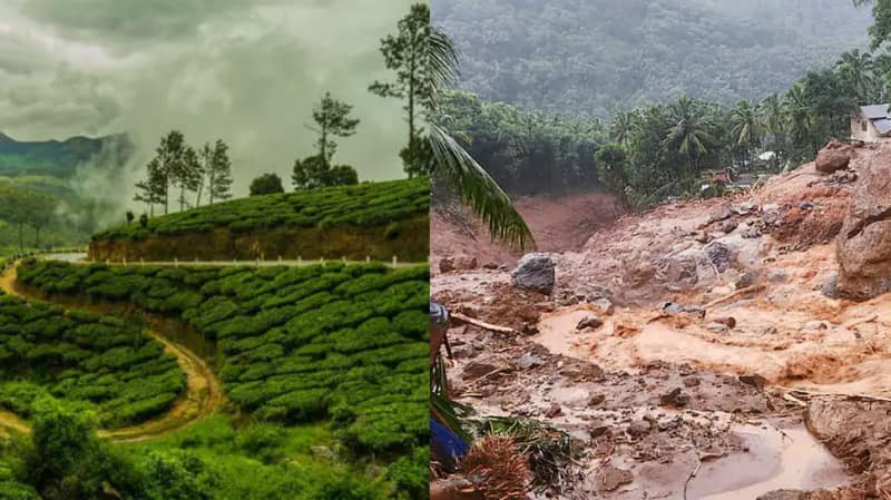 வயநாட்டின் நிலைமை ஊட்டிக்கும் வரலாம்... எச்சரிக்கும் வல்லுநர்கள் - ஆக்‌ஷன் எடுக்குமா அரசு?