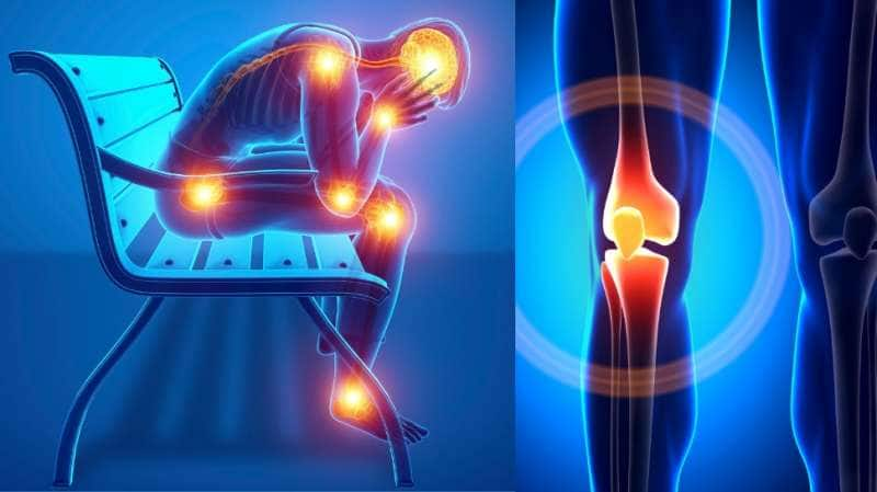 Osteoporosis: 40+ வயதாகிவிட்டதா... மூட்டு வலி ஏற்படாமல் இருக்க நீங்கள் செய்ய வேண்டியவை...!! title=