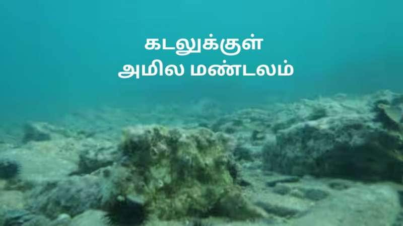 கடலுக்குள் மர்ம அமில மண்டலம்! அமிலம் உருவாவதால் நாடுகள் பாதிக்கப்படுமா? காரணம் என்ன? title=