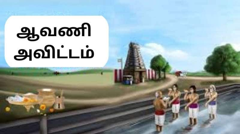 ஆவணி மாதத்தில் புனித சடங்குகள்! பூணூல்...ராக்கி... சம்பிரதாயமும் சகோதர பாசமும்!