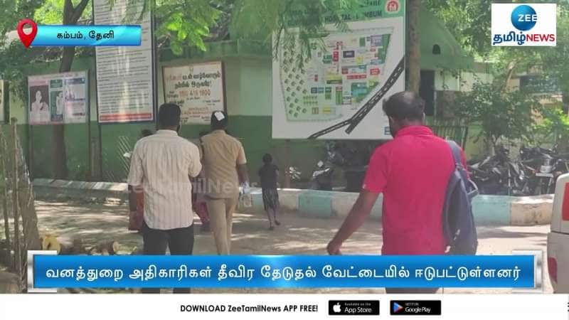 சிறுத்தை நடமாட்டம்... தீவிர தேடுதல் வேட்டை!