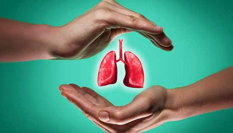 Lungs Healthy Food: நுரையீரல் நலமாக வைத்திருக்க உதவும் சிறந்த உணவுகள் title=