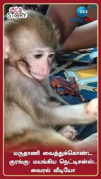 Cute Baby Monkey Getting Mehandi Done on Hands: Watch Viral Video Here