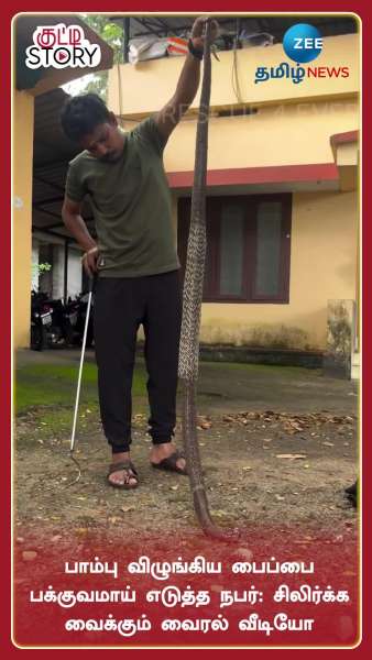 Snake Swallows Pipe, Man Saves It: Watch Viral Video Here