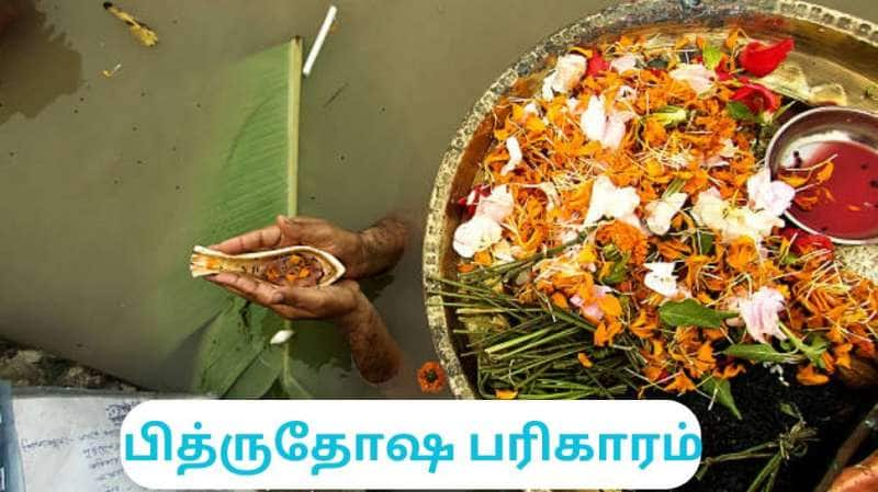 Pithru Dosham | பித்ரு தோஷம் என்றால் என்ன? அது நீங்க செய்ய வேண்டிய எளிய பரிகாரம் title=