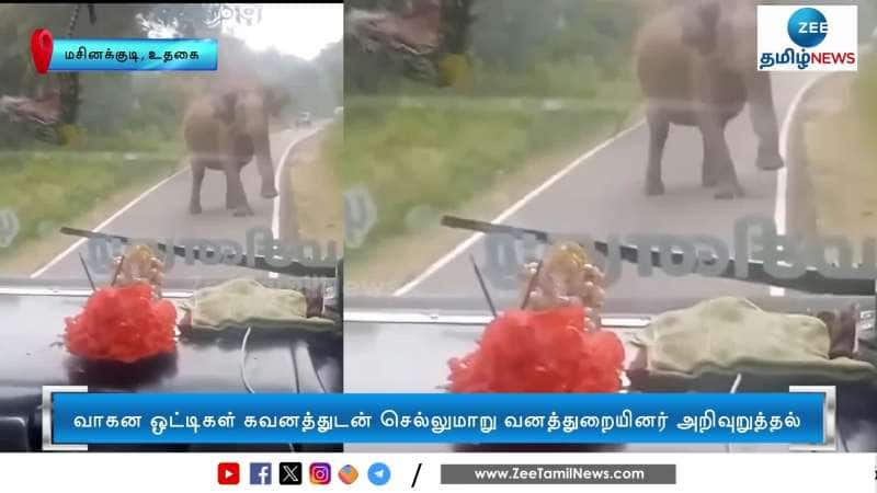 Wild Elephant tries to attack Government Bus Video Goes Viral