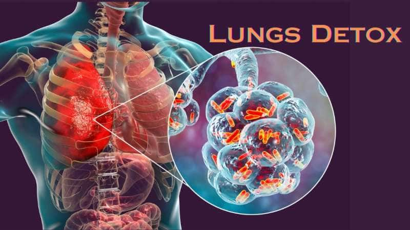 Lungs Detox: நுரையீரலில் சேரும் நச்சுக்களை இயற்கையாக நீக்க... நீங்கள் செய்ய வேண்டியவை title=