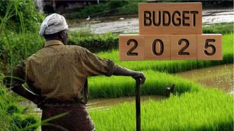 Budget 2025: விவசாயிகளின் முக்கிய கோரிக்கைகள் இவைதான்... செவி சாய்க்குமா அரசு? title=