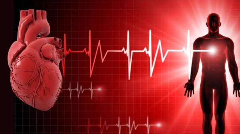 Heart Health: இதயத் துடிப்பு சீராக இருக்க... கடைபிடிக்க வேண்டிய சில பழக்கங்கள் title=