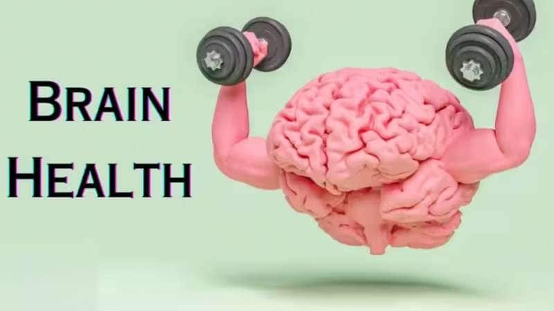 Brain Health: மூளையின் ஆற்றலை அதிகரிக்க உதவும்.... சில ஆரோக்கியமான பழக்கங்கள் title=