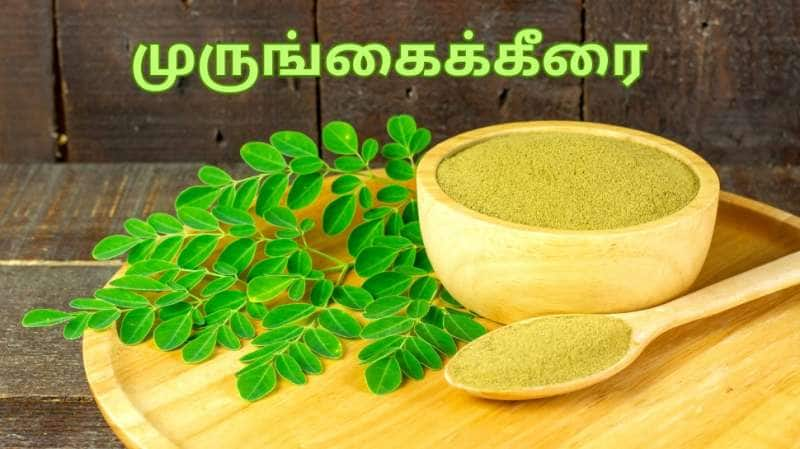 நரம்பு தளர்ச்சி முதல் நீரிழிவு வரை... வியக்க வைக்கும் முருங்கை கீரை