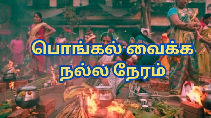 Pongal 2025: தை திருநாளில் பொங்கல் வைக்க நல்ல நேரம் எப்போது? - ஜோதிடர்கள் கணிப்பு