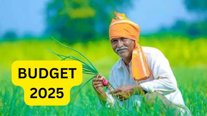 Budget 2025: விவசாயிகளுக்கு குட் நியூஸ், பிஎம் கிசான் தொகை அதிகரிக்கிறதா?