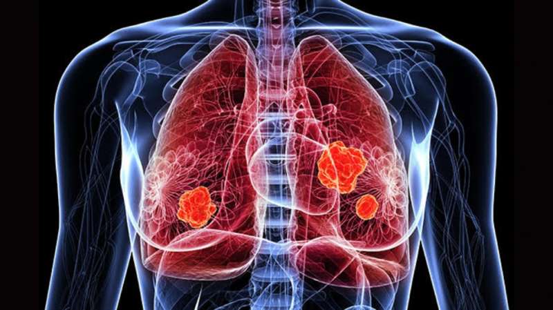 Lungs Detox: நுரையீரலை இயற்கையாக டீடாக்ஸ் செய்ய உதவும் சில உணவுகளும்... பழக்கங்களும் title=