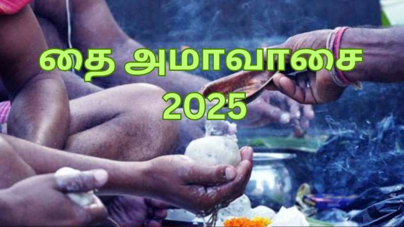 தை அமாவாசை 2025... தோஷங்கள் அனைத்தையும் நீக்க... செய்ய வேண்டியதும்... செய்யக் கூடாததும்